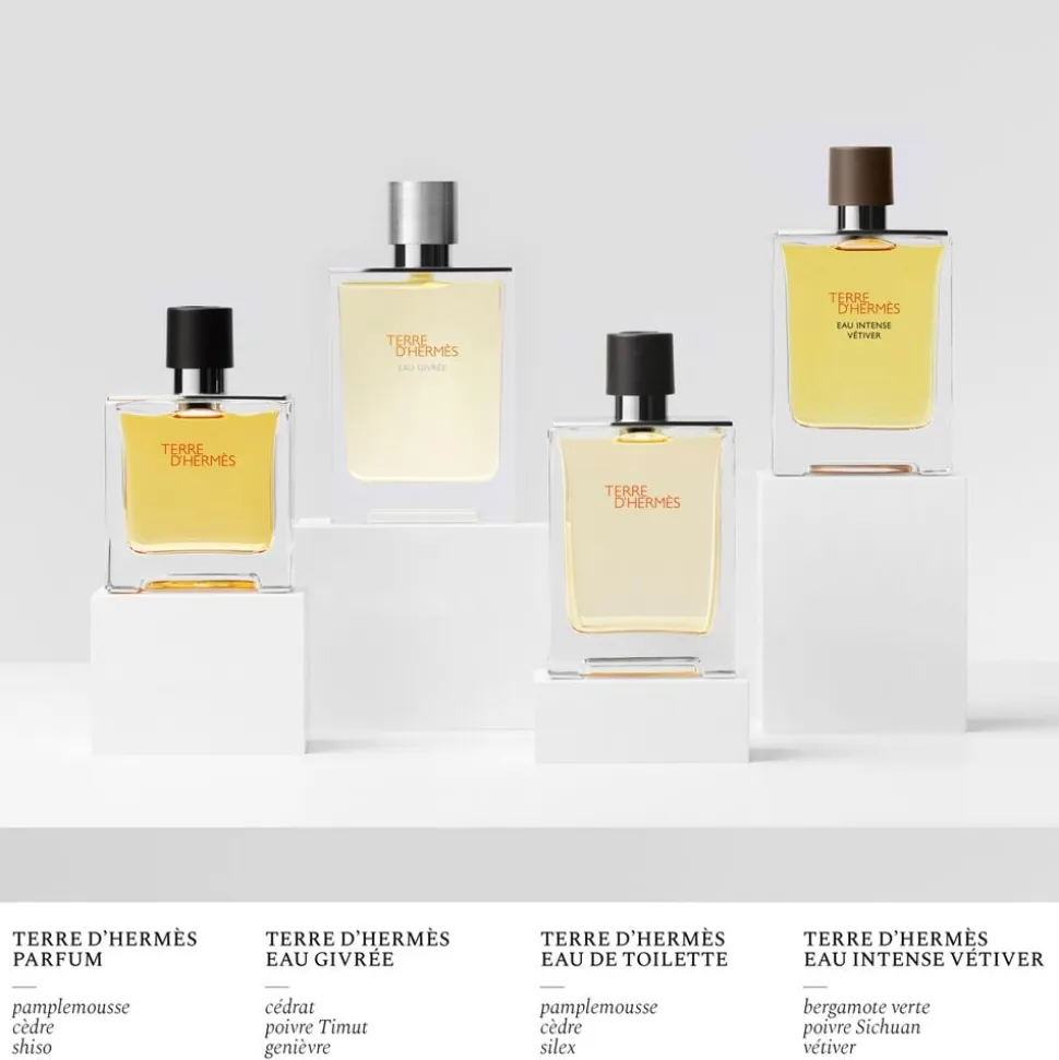 TERRE D'HERMÈS EDT REFILL 125 ML