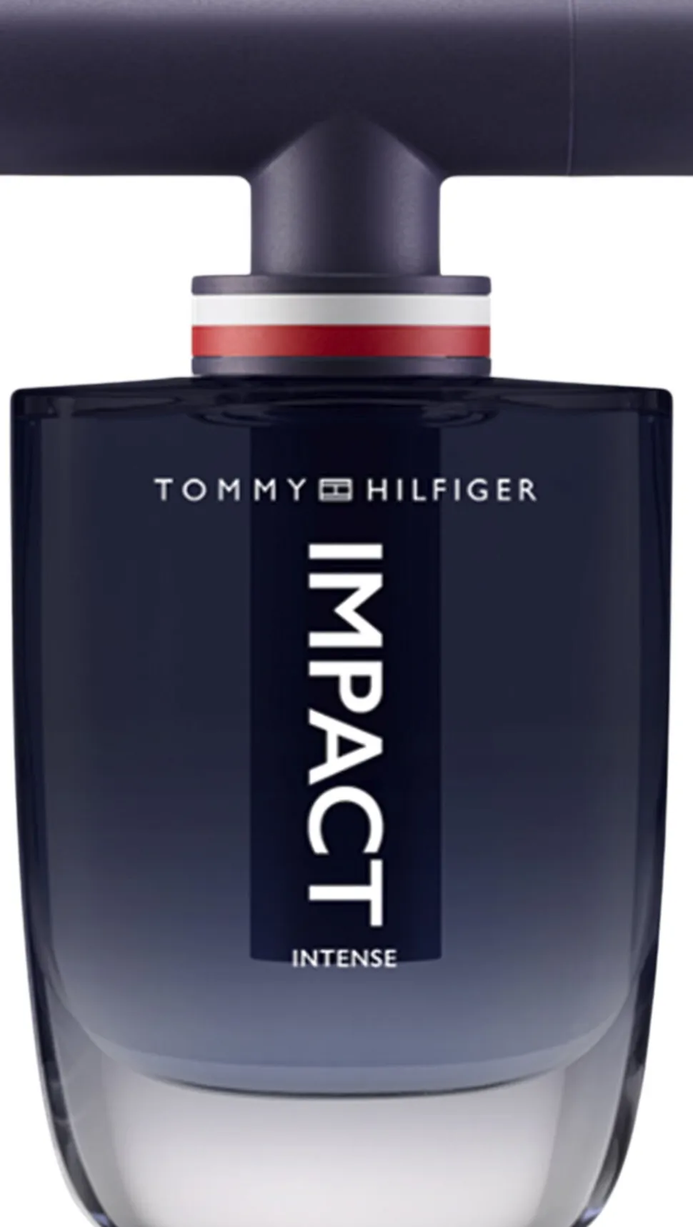TOMMY HILFIGER Impact Men Eau de Parfum 100 ML.