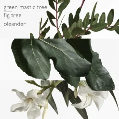 Un Jardin en Méditerranée Eau de Toilette