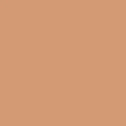 Vanish™ - Airbrush Concealer