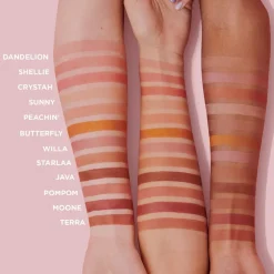 WANDERful World Blush Mini