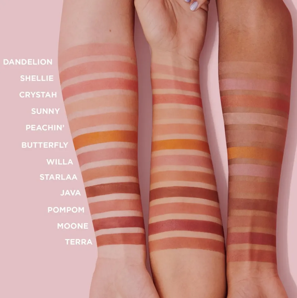 WANDERful World Blush Mini