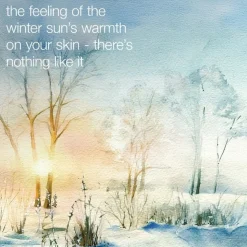 warmth of the winter sun