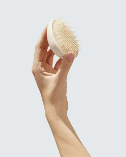 Wet Hair Detangler Brush, White